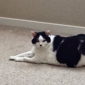 Meet your Posher, Mona